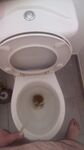 Piss Gif - Are You Ready For Me? Gif