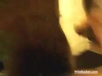 Couples Retreat Gifs - 8-bit Gay Gif - Shemale Ejaculates Gifsgay Cumshots Gif