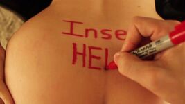 Penmanship Gif - Barrigona Votandoi Gif