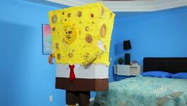 Spongebob Gif - Daughter And Fauther Porn Gif With Captionsbrunette Gives Good Head Gif